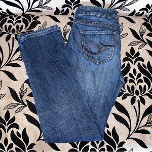 Express jeans Stella skinny leg size 2